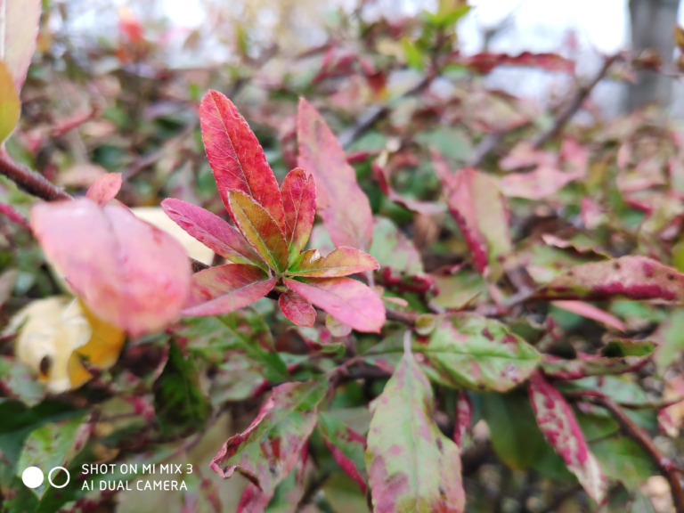 Xiaomi Mi Mix 3 okostelefon teszt 27