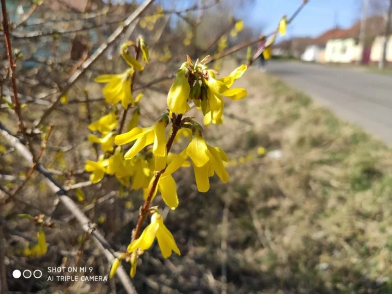 Xiaomi Mi 9 okostelefon teszt 17