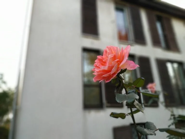 Xiaomi Redmi Note 6 Pro okostelefon teszt 25