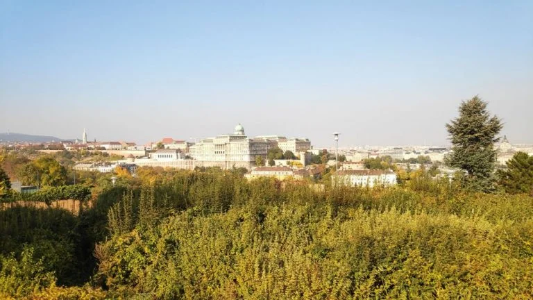 Test du téléphone Xiaomi Pocophone F1 19