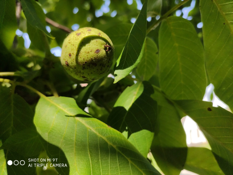 Xiaomi Mi 9T okostelefon teszt 25