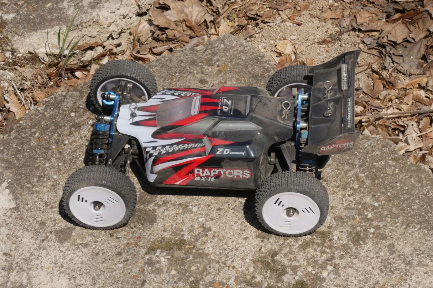 ZD Racing Raptor BX-16