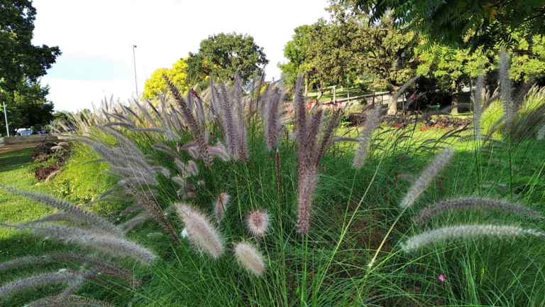 Redmi 7A okostelefon teszt 27