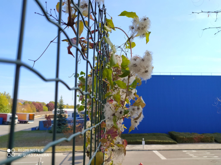 Redmi Note 8 okostelefon teszt 58