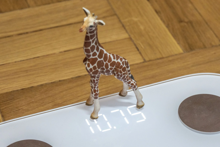 Xiaomi Mi Body Composition Scale 2 okosmérleg teszt 10