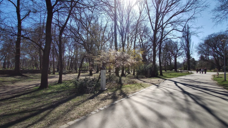 Xiaomi Fimi Palm kézi gimbal és kamera teszt 33