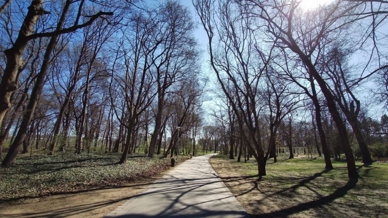 Xiaomi Fimi Palm kézi gimbal és kamera teszt 34