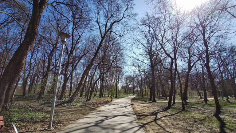 Xiaomi Fimi Palm kézi gimbal és kamera teszt 35