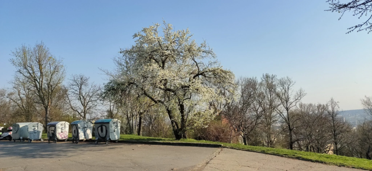 Oppo Realme 5 Pro okostelefon teszt 25