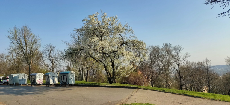 Oppo Realme 5 Pro okostelefon teszt 26