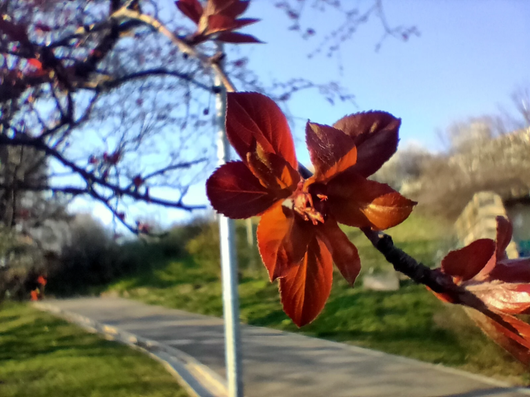 Oppo Realme 5 Pro okostelefon teszt 38