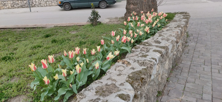 Oppo Realme 5 Pro okostelefon teszt 62