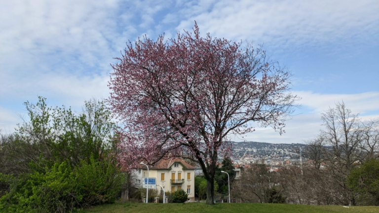 Oppo Realme 5 Pro okostelefon teszt 90