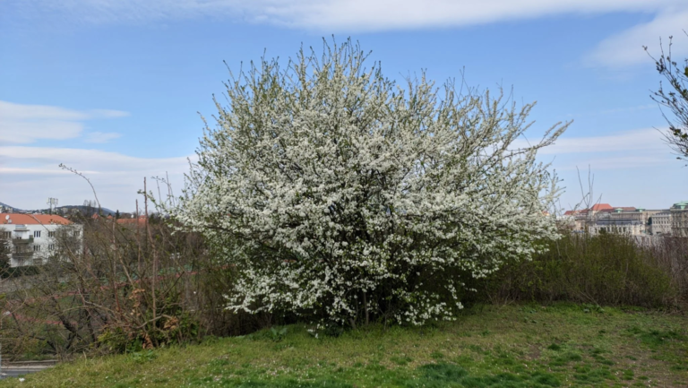 Oppo Realme 5 Pro okostelefon teszt 91