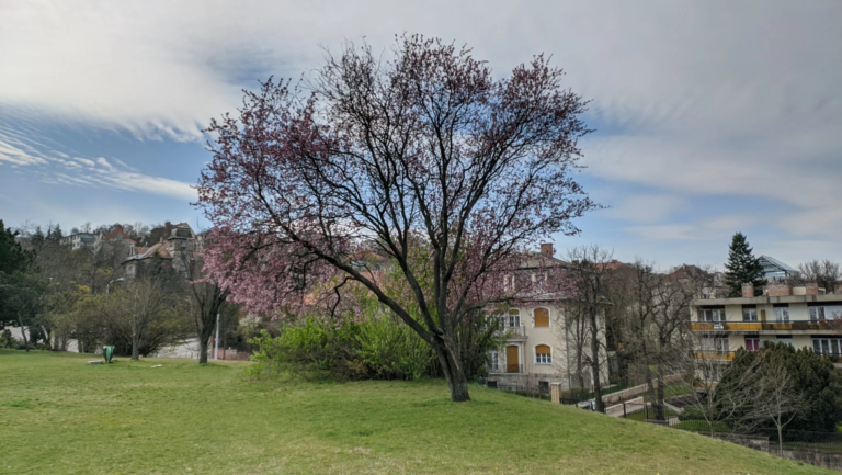 Oppo Realme 5 Pro okostelefon teszt 94