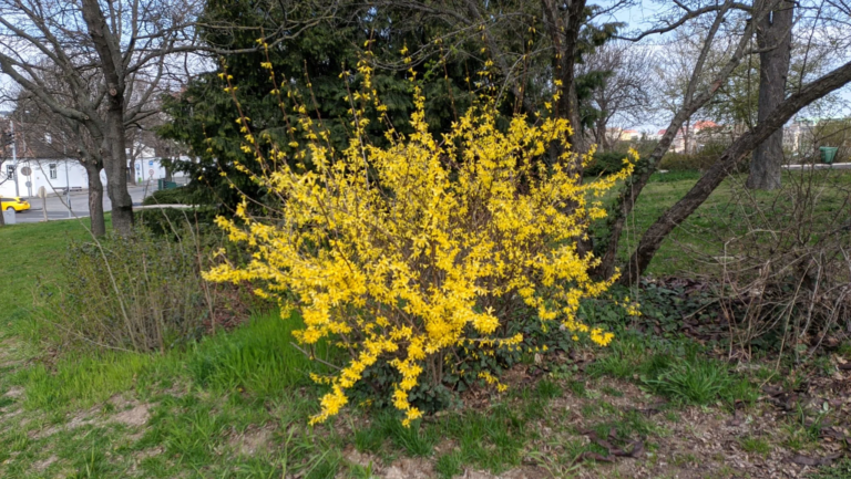 Oppo Realme 5 Pro okostelefon teszt 95