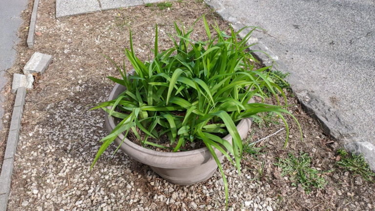 Oppo Realme 5 Pro okostelefon teszt 97