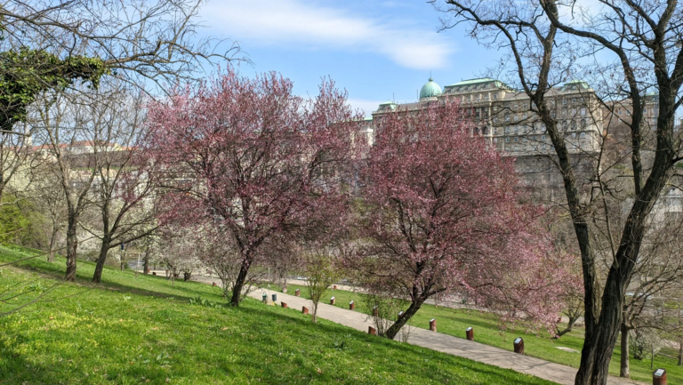 Oppo Realme 5 Pro okostelefon teszt 102