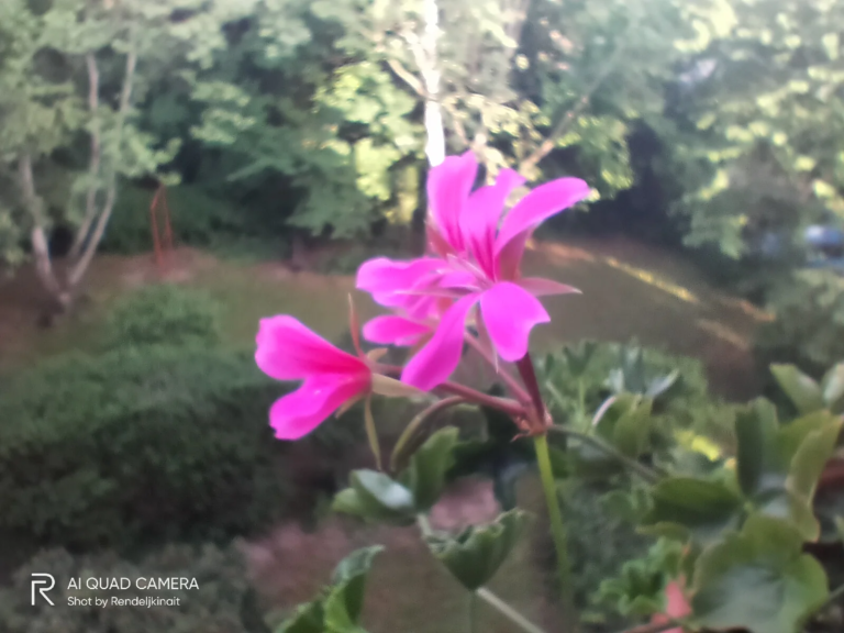 Realme 5i okostelefon teszt 56