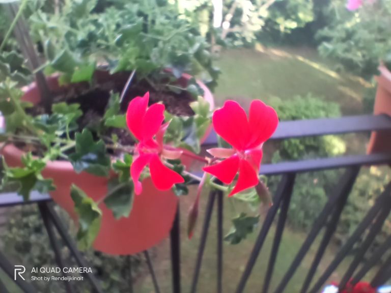 Realme 5i okostelefon teszt 59