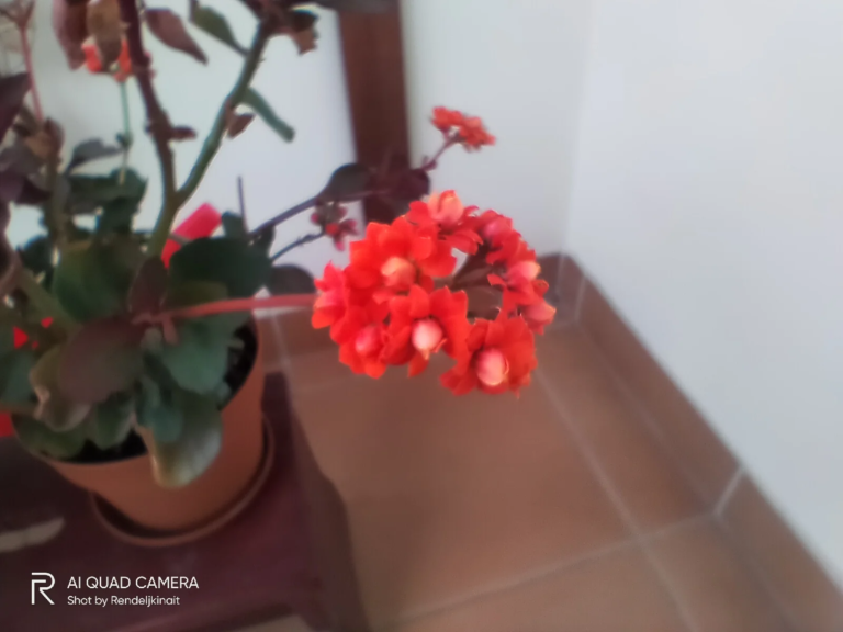 Realme 5i okostelefon teszt 58