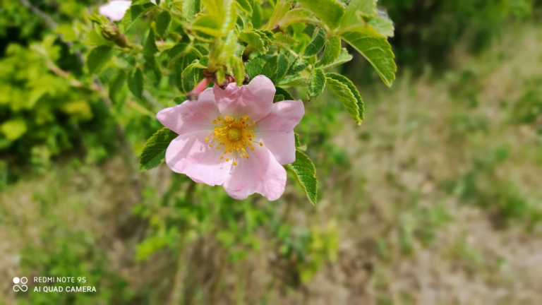 Xiaomi Redmi Note 9S okostelefon teszt 37