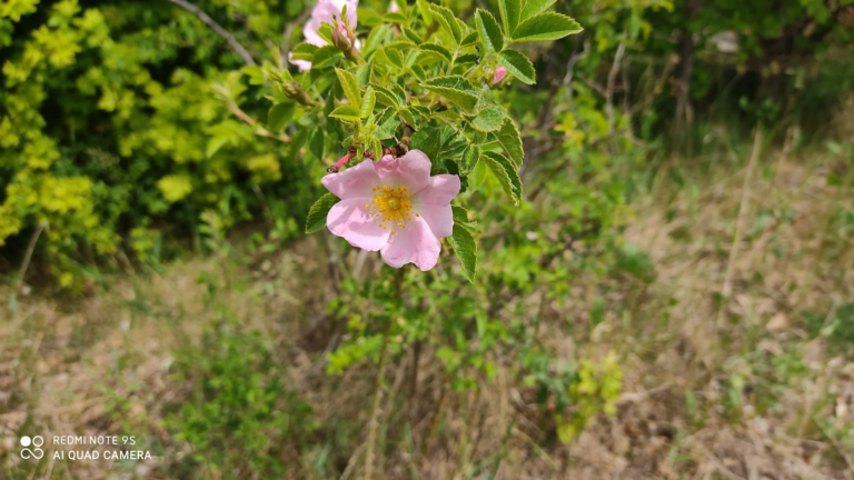 Xiaomi Redmi Note 9S okostelefon teszt 38