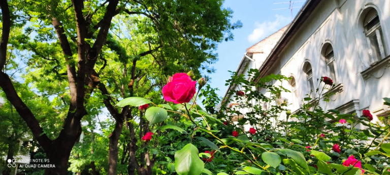Xiaomi Redmi Note 9S okostelefon teszt 59