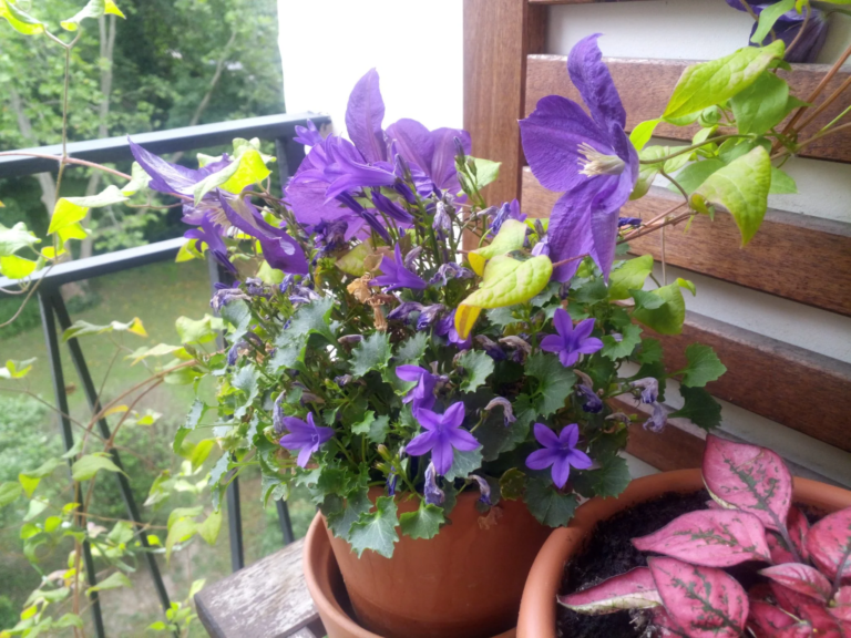 Cubot Kingkong Mini strapatelefon teszt 21