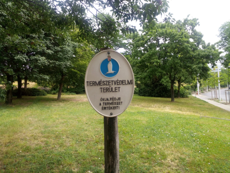 Cubot Kingkong Mini strapatelefon teszt 25