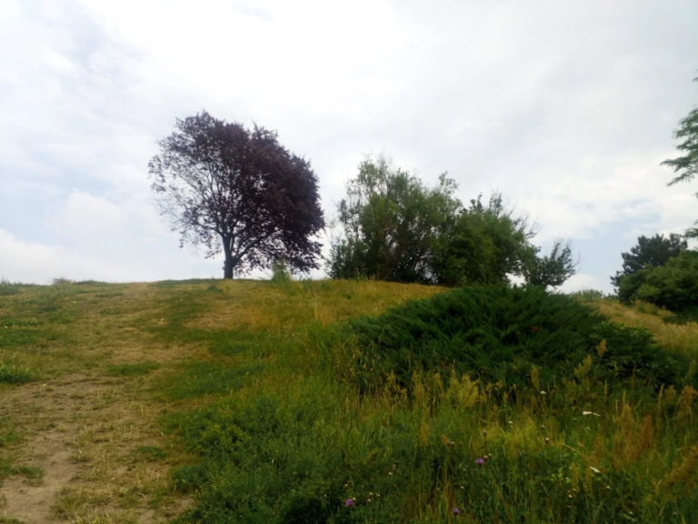 Cubot Kingkong Mini strapatelefon teszt 27