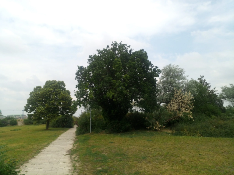 Cubot Kingkong Mini strapatelefon teszt 29