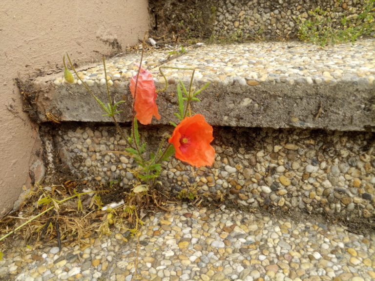 Cubot Kingkong Mini strapatelefon teszt 37