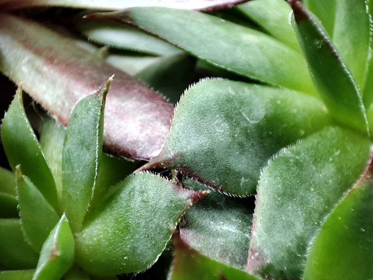 Xiaomi Poco F2 Pro okostelefon teszt 38