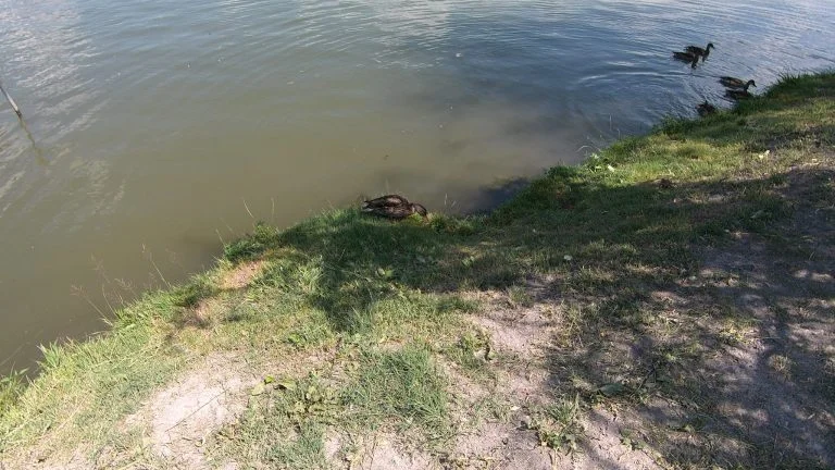 Feiyu Pocket gimbal kamera teszt 29