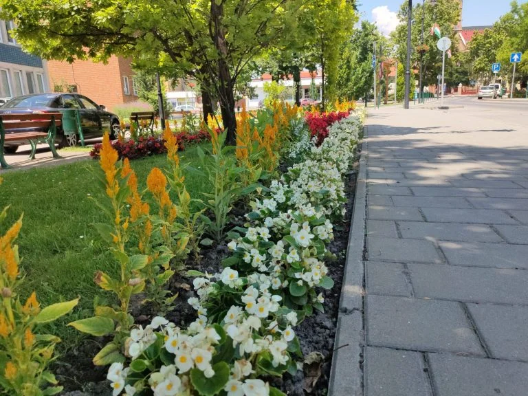 Realme X2 Pro okostelefon teszt 32