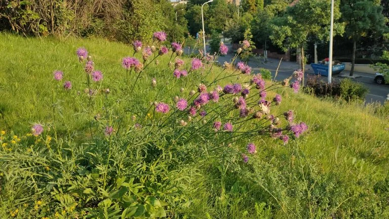 Realme X2 Pro okostelefon teszt 34