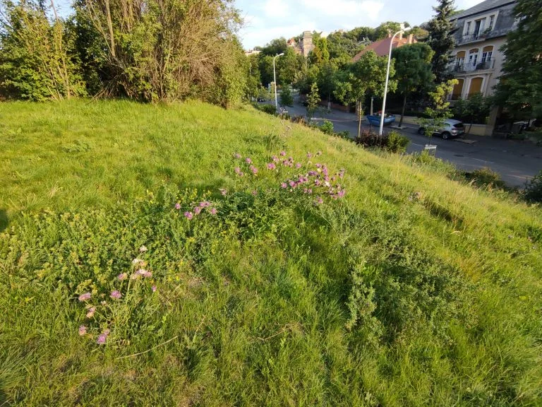 Realme X2 Pro okostelefon teszt 40