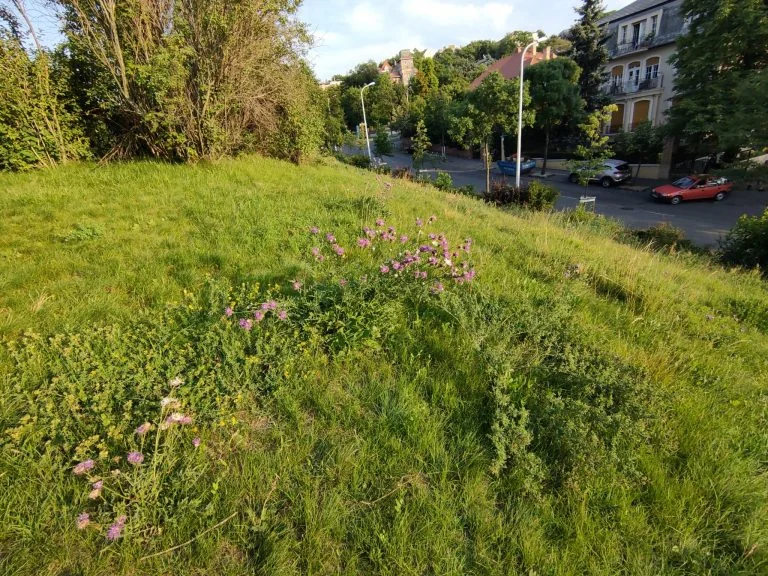 Realme X2 Pro okostelefon teszt 41