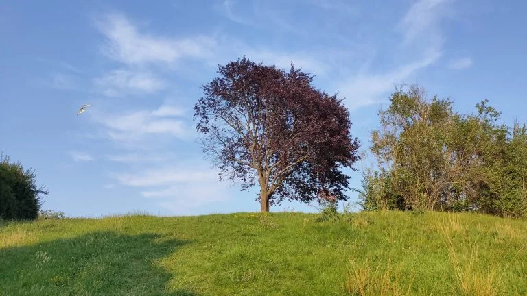 Realme X2 Pro okostelefon teszt 42