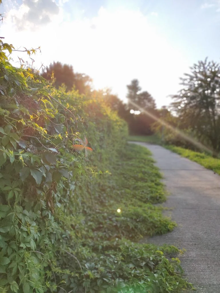 Realme X2 Pro okostelefon teszt 50