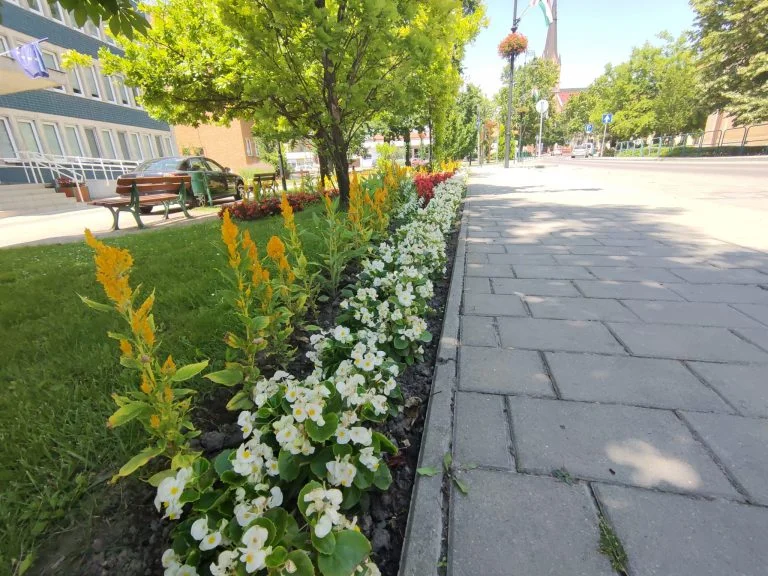 Realme X2 Pro okostelefon teszt 53