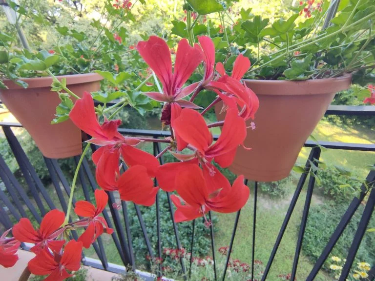 Realme X2 Pro okostelefon teszt 57