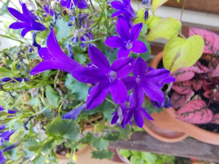 Realme X2 Pro okostelefon teszt 59