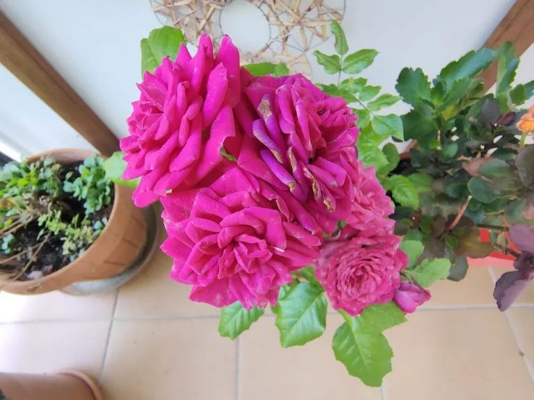 Realme X2 Pro okostelefon teszt 63