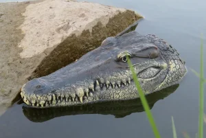 Ettől garantáltan berezelsz, ha szembe jön veled