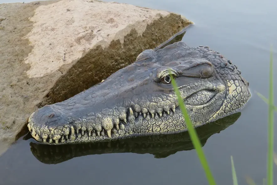 Ettől garantáltan berezelsz, ha szembe jön veled 1