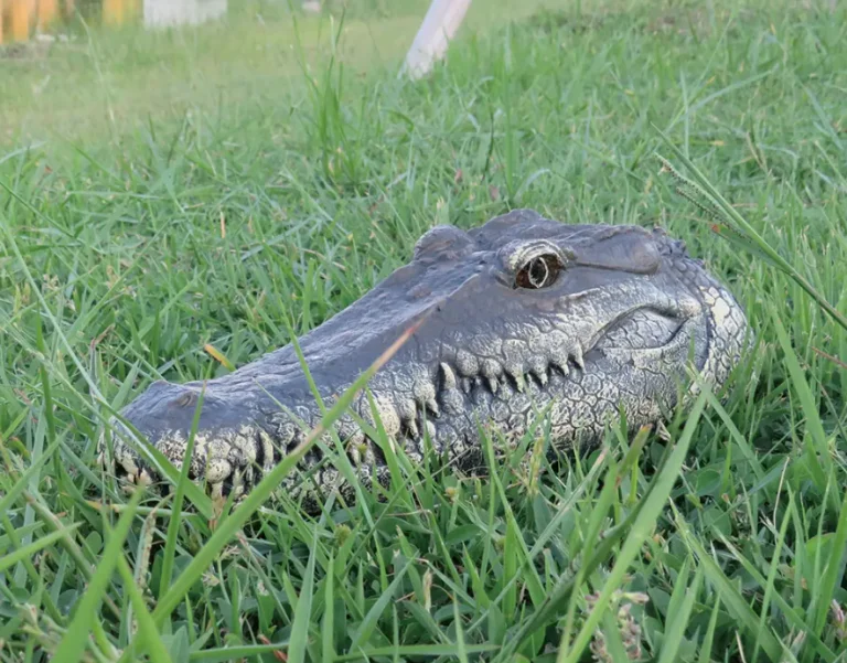 Ettől garantáltan berezelsz, ha szembe jön veled 4