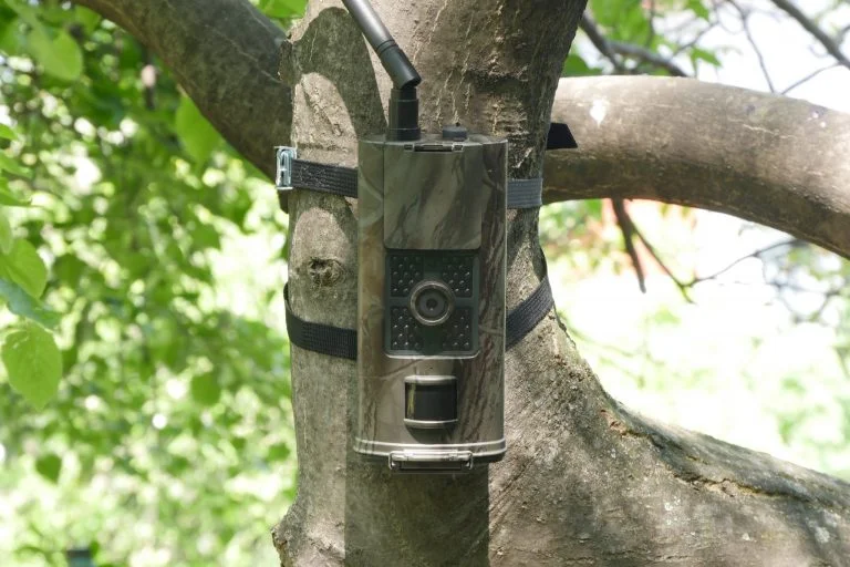 Suntek HC-700G és HC-900LTE vadkamerák tesztje