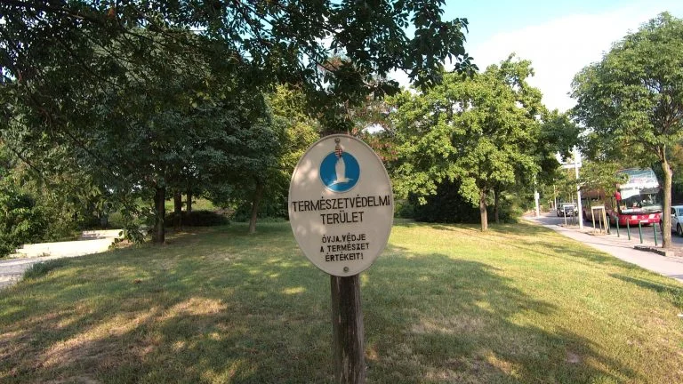 Feiyu Pocket vs. Xiaomi Fimi gimbal kamera 14